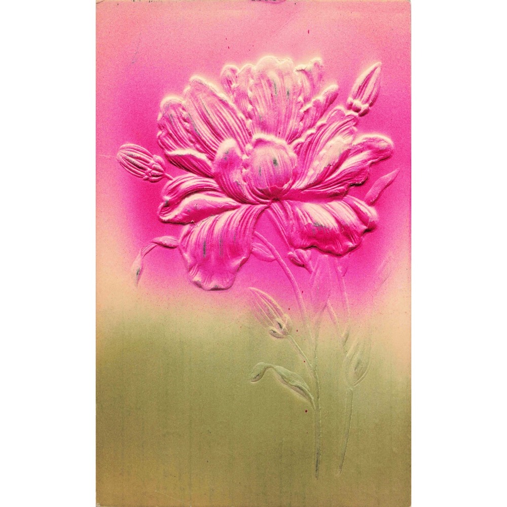 Antique 1907 Embossed Pink Flower Floral Postcard Nazareth PA Pennsylvania Poste - Picture 1 of 2